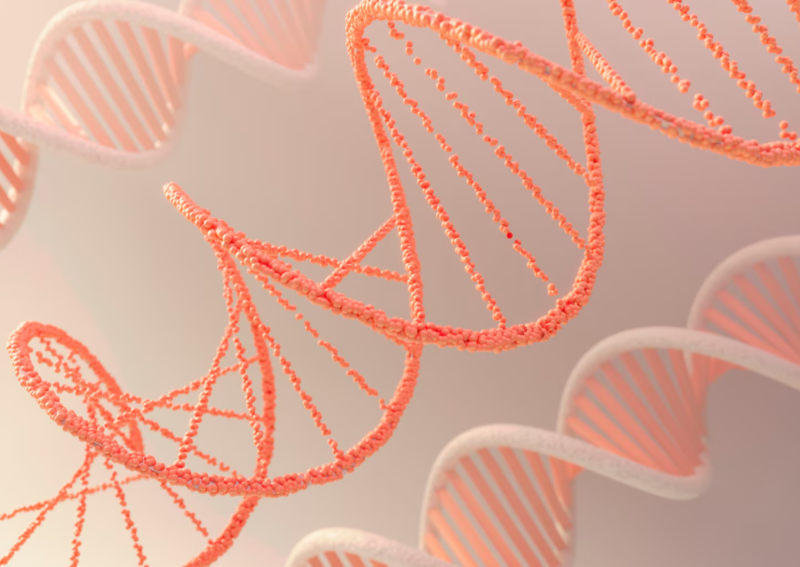 Файл:Screenshot 38sacasc6.png