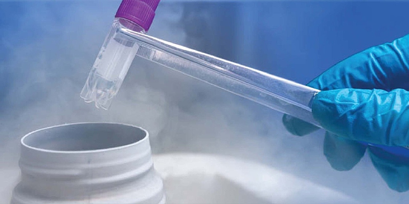 Файл:Photo 2025-02-18 15-08-35.jpg