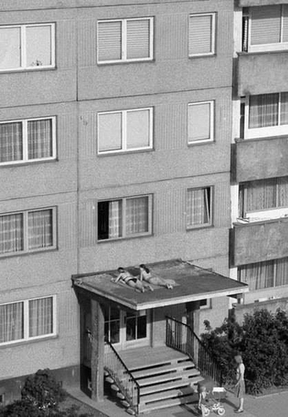 Файл:IMG 20210210 070234 899.jpg