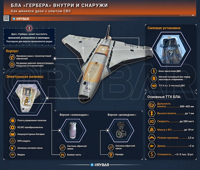 Файл:Гербера 2025.jpg