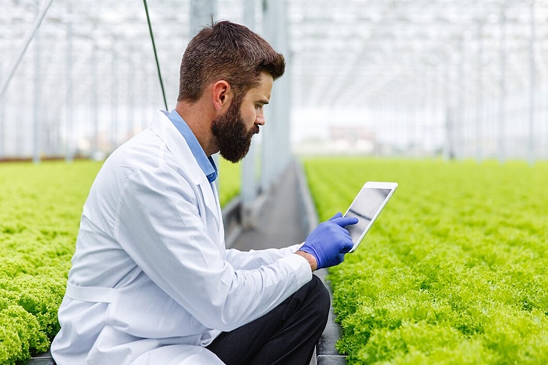 Файл:Bearded-male-researcher-studies-plants-with-tablet-standing-greenhouse 8353-7155.jpg